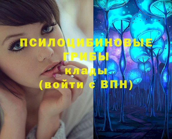 меф Алексин