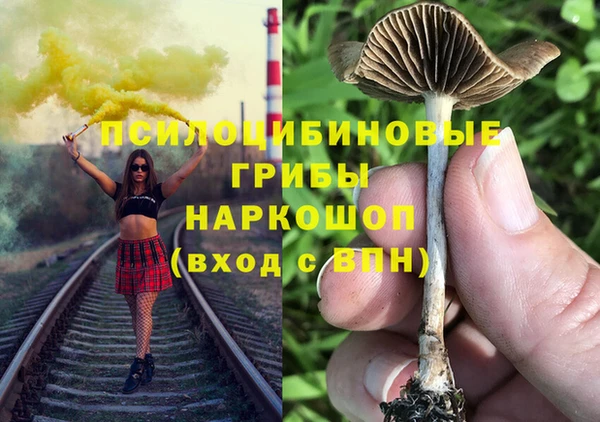 меф Алексин