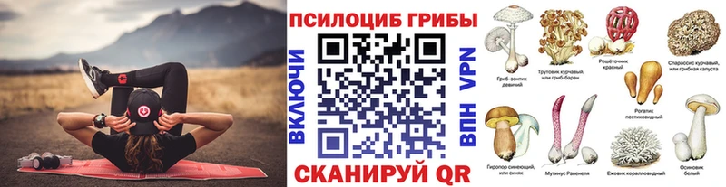 Галлюциногенные грибы Psilocybe МЕГА зеркало Лихославль